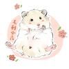 毛利小六|小熊
