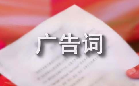 宠物店创意广告词