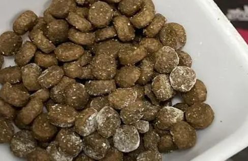 博特菲力猫粮怎么样？