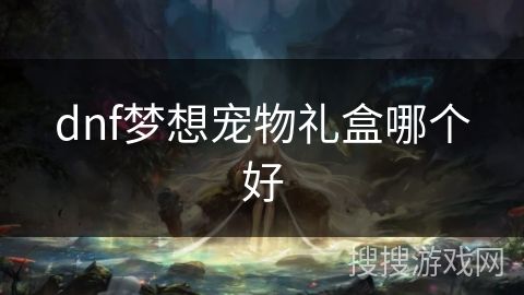 dnf梦想宠物礼盒哪个好