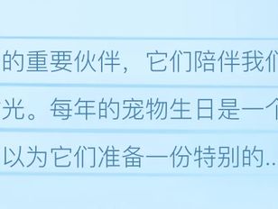 专栏