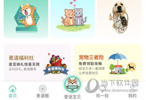 麦道宠物怎么绑定宠物