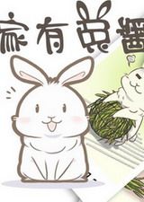 家有兔酱 电脑版