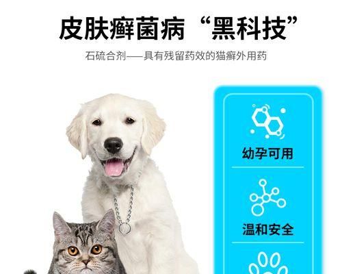 宠物犬常见病的治疗方法（详解以犬得病吃什么药）