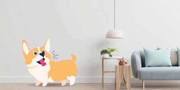 狗狗充血性心力衰竭:病因、症状和治疗