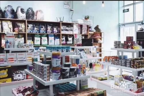 开宠物店有哪些项目可以挣钱