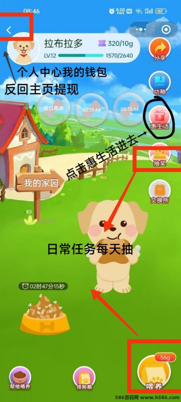 解锁众乐随行宠物福利新境界：奖券在手，福利我有，详细活动参与指南助你满载而归！