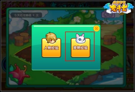 龙斗士宠物经验获得方式