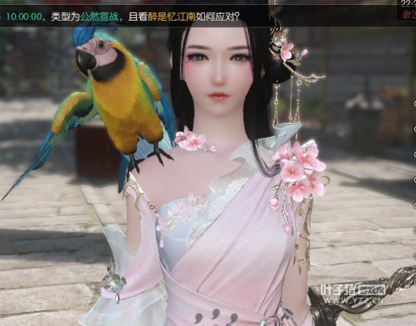 逆水寒彩虹鹦鹉