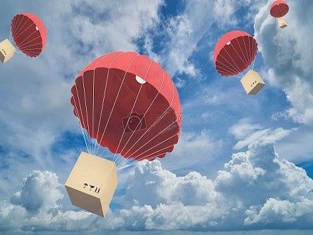 什么快递可以国际托运宠物（什么快递可以国际托运宠物呢）