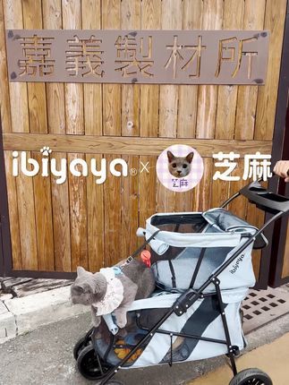 ibiyaya依比呀呀:猫咪新车入手开箱喜悦满满 跟着芝麻一起,来个一日游吧! ️☀️ 双层小巴开箱,惊喜连连! 高透气网布,让毛小孩也能享受清风徐徐 防干扰独立空间,上下层互不打扰 易收纳设计,置物口袋+置杯架,小物品也有家 真顺畅高密度耐磨轮胎,推行无阻,稳健前行 有了ibiyaya双层子母宠物小巴 享受更高端的宠物外出体验 猫咪外出生活,质感UP! UP! #英短 #宠物推车 #猫咪 #猫咪出门 #猫咪旅行