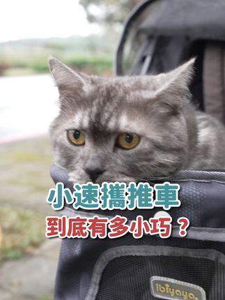ibiyaya依比呀呀:超迷你宠物推车大挑战 谁家猫咪能打败它的小巧身材? ibiyaya小速携宠物推车 这款推车的最大亮点就是它的小巧身材 三折收纳后竟然只有9颗苹果那么高! 想象一下,无论是休闲后背包还是16吋笔电,甚至是自称苗条的本喵(没错,就是我〝虎虎〞!) 在玲珑小巧这方面都不是它的对手 后背包? No problem! 笔记本电脑?轻松搞定! 自认苗条的猫咪朋友们,你们准备好挑战了吗? 快来比一比吧!️♂️ #猫咪 #喵星人 #宠物推车 #猫车 #猫外出