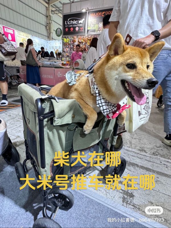 ibiyaya依比呀呀:柴犬最愛ibiyaya大米号宠物推车。柴犬在哪大米号宠物推车就在哪! 专为长腿狗和中型狗狗设计 深筒座舱让柴柴和米克斯坐得舒舒服服 军绿色和干燥玫瑰粉色两种中性配色 不仅帅气还温柔 无论是男生或女生推着走都超级合适❤️ 每次带着毛小孩出门 这款推车总能成为人群中的亮点✨ 让毛小孩享受众人瞩目的感觉 #柴犬 #柴犬日常 #柴犬宝宝 #柴犬豆柴 #豆柴