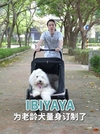 ibiyaya依比呀呀:老年狗外出必备|安心陪全龄宠物推车 ibiyaya全新推出一款超级有爱的产品 — 安心陪全龄宠物推车 专为大型狗、老年狗、身障宠物量身设计的宠物推车 车架低底盘设计和全开式敞篷开口,方便宠物自行进出。 座舱底部加厚空气纤维床垫,有效分散毛孩身体重量舒缓疲惫。 还可加购专属的便利斜坡和防脏布帘,让老龄犬得以自行上下车。 安心陪全龄宠物推车帮助老年狗行动无障碍 是宠物家庭外出最温馨的陪伴! #老年狗 #老年狗的日常 #老年狗狗 #老年犬 #老年犬日常