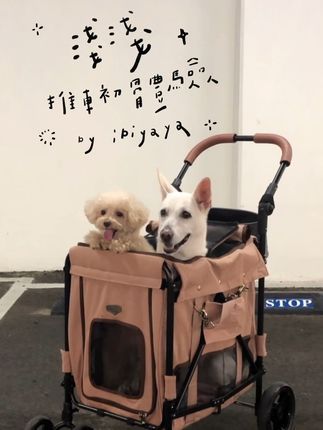 ibiyaya依比呀呀:开箱啦!浅浅家新成员ibiyaya大米号宠物推车 从今往后,我们的贵宾和米克斯也能够享受到“有车阶级”的生活了! 这款推车真的是太神了,设计非常人性化,♂️无论是大人推,♀️还是孩子们推,或者是亲戚朋友们推,都能够轻松上手。 加深的筒状座舱,完整包覆保护宠物不跳出。 座舱大空间让大小毛孩能够一起搭乘 推车后方分层口袋的收纳容量非常大,能够放下玩具、食物、水等等。 ⚾ ️ 以前,带他们出去玩,我们总是要提心吊胆,怕他们累或者不听话。 现在有了这款推车,我们就可以安心地让他们去更多地方尽情玩耍了。 总的来说,IBIYAYA大米号宠物推车是我们近期入手最值得的宠物外出用品。 它让我们外出时能够空出双手更加轻松,大大提升了我们和毛小孩们的出行品质。 如果你也正在寻找一款好的宠物推车,推荐你和我们一样选择大米号宠物推车! #宠物推车 #米克斯犬 #萌宠好物 #狗推车 #中型犬