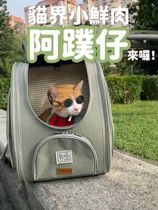 ibiyaya依比呀呀:猫奴必备|ibiyaya乐爪宠猫后背包 ♀️仔妈表示:这个宠物背包我们全家人都爱不释手,刚入手仔爸就迫不及待背着小蹼仔骑车出门兜风了!♂️ 市面独家专为猫咪设计的『机能型宠物背包』 符合喵星人外出使用习惯 双肩背空出双手移动方便 ️日常散步、长途旅行都轻松 ibiyaya乐爪宠猫后背包 ✔️包身钢圈包覆:支撑力强硬挺不塌陷变形 ✔️人体工学背带:舒适省力可前背/后背 ✔️独家贴心细节:肉泥喂食孔+可替换猫抓布 #猫包 #猫咪外出便携包推荐 #猫咪外出 #猫咪外出背包 #记录猫咪日常