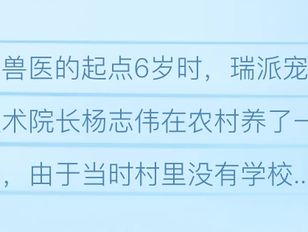 专栏