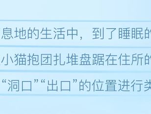 专栏