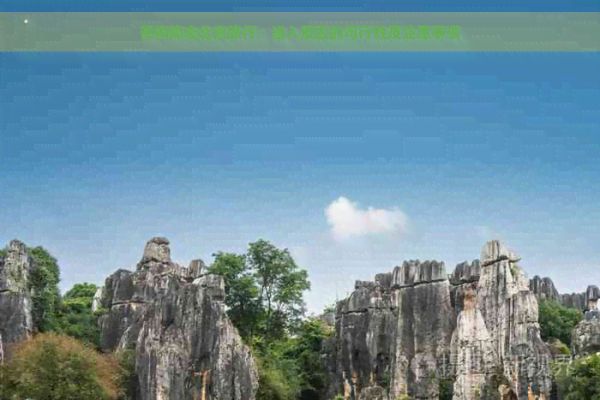 带狗狗去北京旅行：进入景区的可行性及注意事项