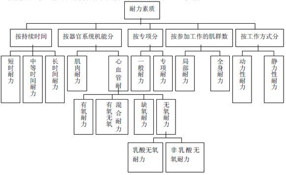 耐力训练的分类-第1张图片-体能网