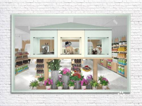 自己怎么开宠物店