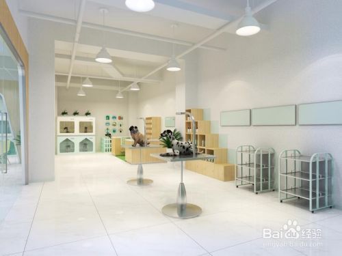 自己怎么开宠物店