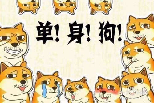 七夕情人节单身狗该怎么度过？