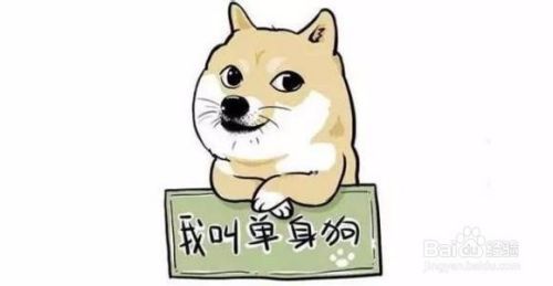 七夕情人节单身狗该怎么度过？
