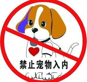 地铁禁止携带宠物？妹子实力演绎，如何带仓鼠过安检！