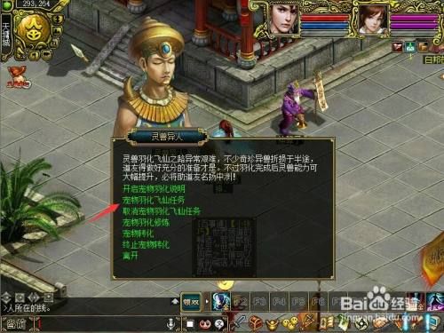 问道宠物怎么羽化