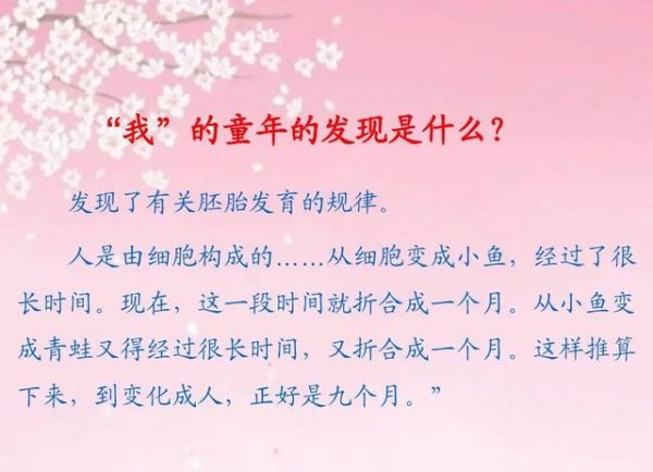 如何撰写变身宠物文案使其更具吸引力与好看