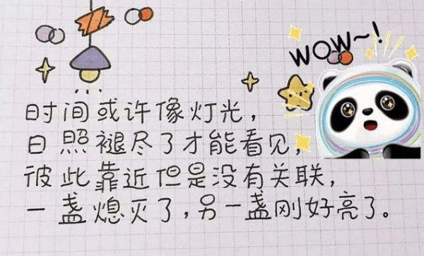 如何撰写变身宠物文案使其更具吸引力与好看