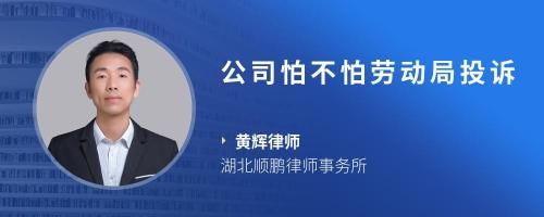公司怕不怕劳动局投诉