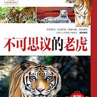 指尖上的探索:不可思议的老虎|自然百科|奇妙动物