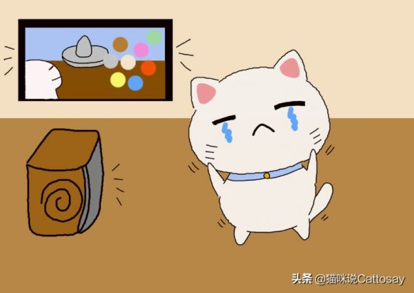 声音对猫影响很大,3 种噪音让猫感到不安,养猫需安静环境