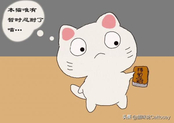 声音对猫影响很大,3 种噪音让猫感到不安,养猫需安静环境