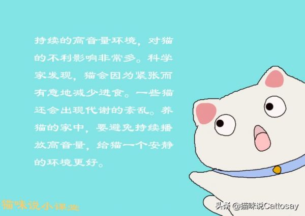 声音对猫影响很大,3 种噪音让猫感到不安,养猫需安静环境