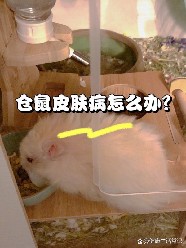 https://selfpage-gips.cdn.bcebos.com/856c7edf92f742db7b55f0cc406599e3.jpg