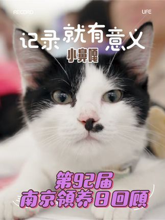 南京领养日:第92届南京领养日:蓝氏微光计划携手烤鱼探店与一点点共聚天街 【南京领养日】 江北龙湖天街,第92届南京领养日温馨回顾! 蓝氏微光计划联合烤鱼探店和一点点,共同推广“领养代替购买”,让每一份爱找到归宿。 时间:2024年8月17日(周六)13:00-17:30 地点:江北龙湖天街 探鱼行动:加入我们,学习如何为宠物提供更健康的饮食配方,让TA的生活更加丰富多彩! 烤鱼探店:感谢烤鱼探店的慷慨赞助,为领养日提供美味的烤鱼,让参与者在享受美食的同时,感受领养的温暖。 一点点:感谢一点点为领养日提供清凉饮品,让每一位到场的朋友都能在炎炎夏日中感受到一丝凉意。 蓝氏感谢:特别感谢蓝氏对本次活动的大力支持,为救助人们捐赠了猫粮和狗粮,你们的爱心是我们最大的动力! 视频回顾:点赞评论收藏,一起回顾领养日的温馨瞬间,感受每一份爱的力量。 让我们在江北龙湖天街,携手烤鱼探店和一点点,共同为流浪动物们筑起一个充满爱与关怀的家园。加入我们,让爱传递,让领养成为新时尚!#领养代替购买 #南京领养日 #求领养 #萌宠 #萌宠推荐官