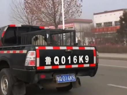 乐宝熊猫届唯一坐过敞篷皮卡的大熊猫,遇到姜爷爷后成为熊生赢家#大熊猫乐宝 #神奇动物在抖音 #治愈系 #熊猫的生活有多惬意 #旅韩大熊猫乐宝