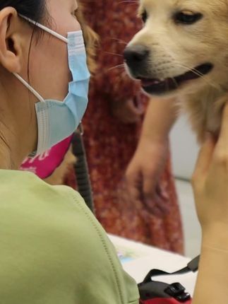 北京领养日:那些爱的触碰,猫猫和小狗我呀,会记一辈子呐!#领养代替购买 #北京领养日