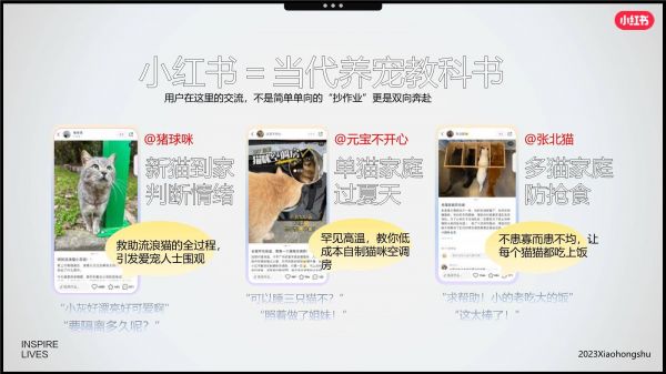 小红书ai萌宠文案怎么写