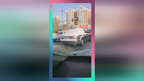 路上偶遇该车，女司机拿的什么东西，网友：扫雪吗？