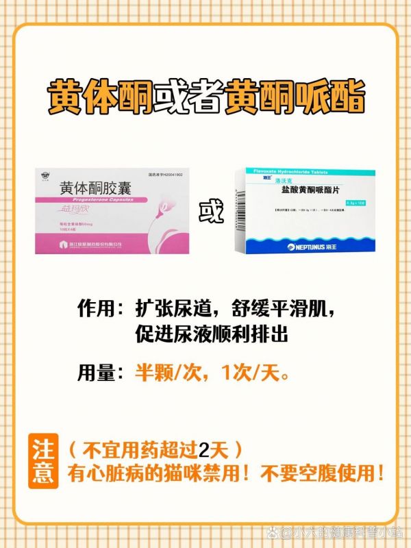 https://selfpage-gips.cdn.bcebos.com/9d7e201138e28629eaa323f70d6a85af.jpg