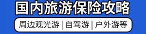 国内旅游险