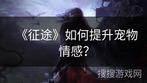 《征途》如何提升宠物情感？
