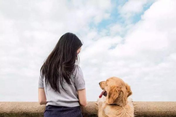 宠物抑郁症，也会自杀吗？