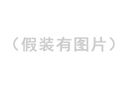 锦鸡图片