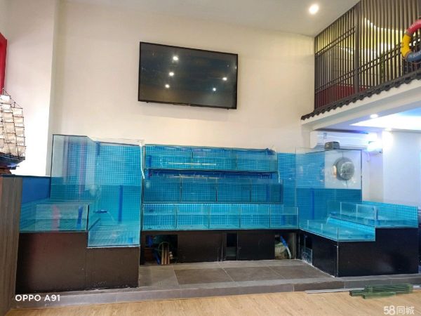 中山市坦洲镇兴锦玻璃店·观赏鱼缸，大型鱼缸，海鲜池鱼池，乌龟缸，制冷机