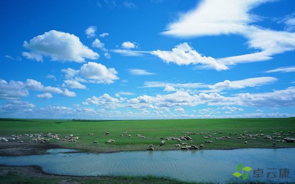 nature_hd_vast_expanse_of_grassland_493236_12